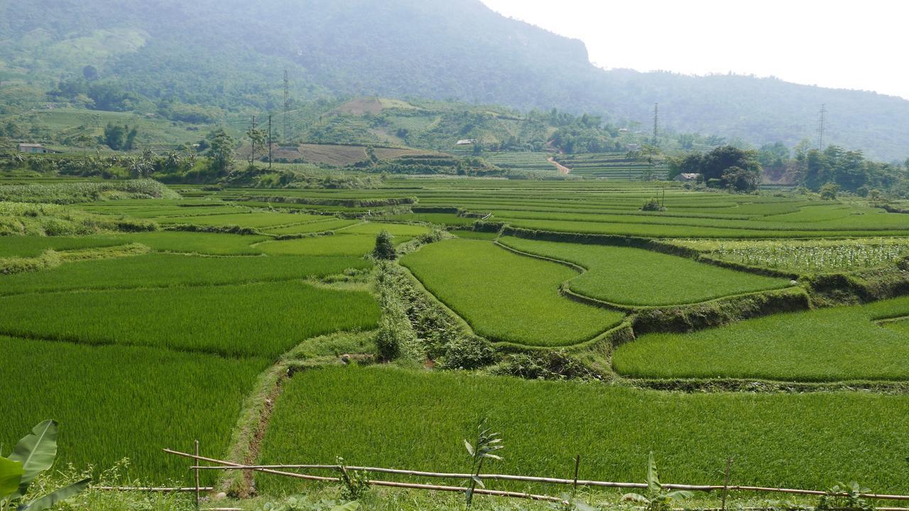 Thac Ba Family Homestay Ho To 외부 사진