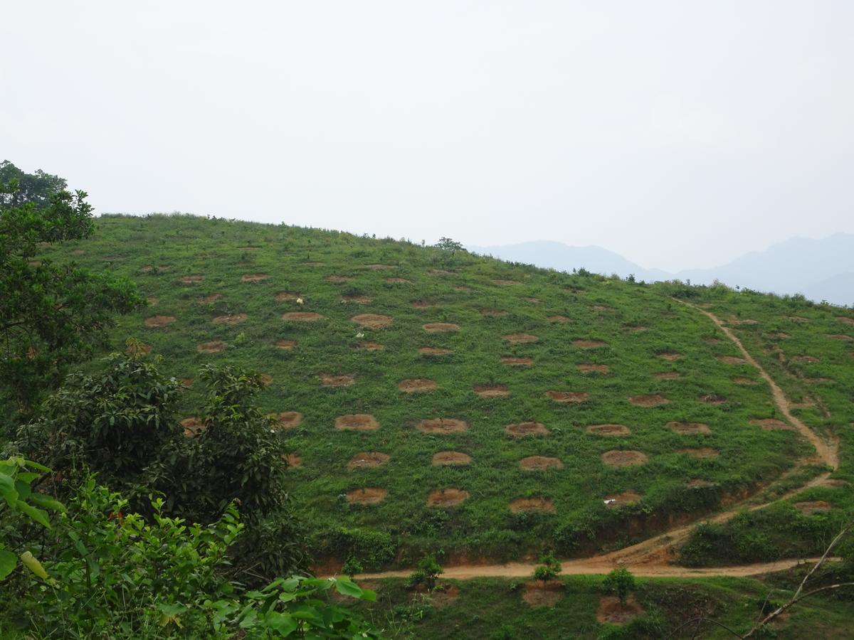 Thac Ba Family Homestay Ho To 외부 사진